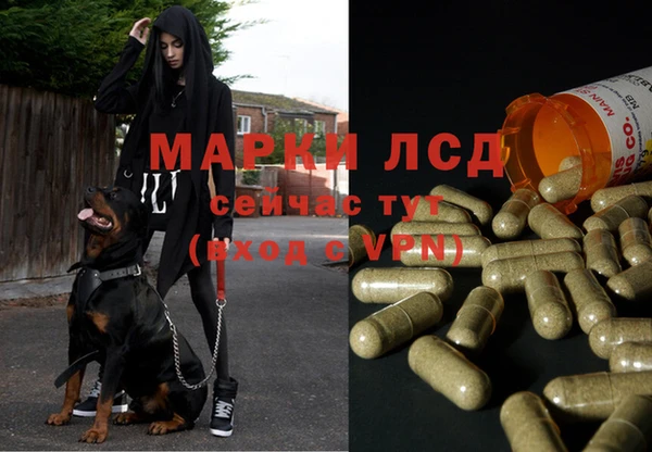 spice Касимов