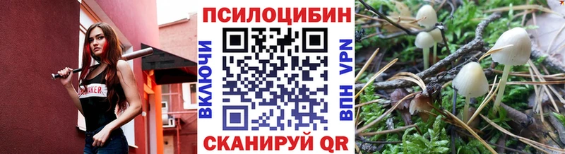 Псилоцибиновые грибы MAGIC MUSHROOMS  Купить закладки  Зеленоградск 